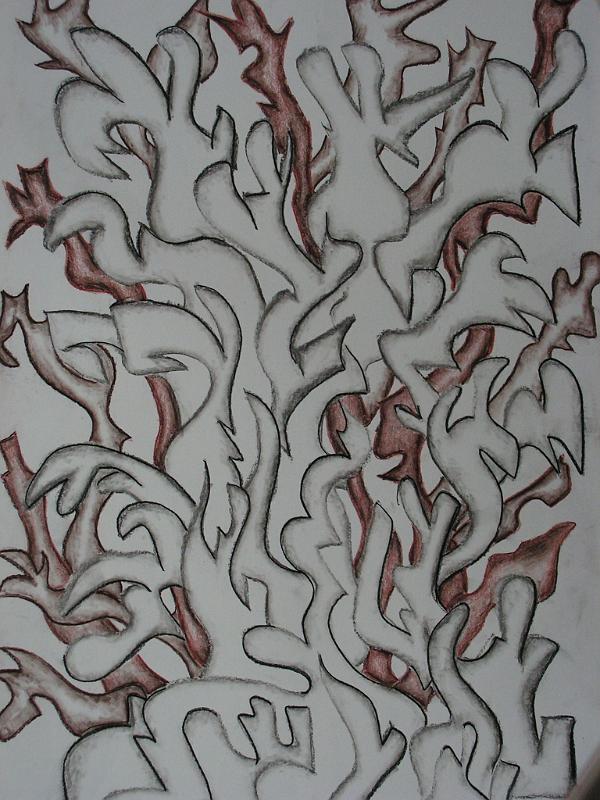 Eine undurchsichtige Entwicklung, 2007, Kohle-Papier, 60x42.jpg